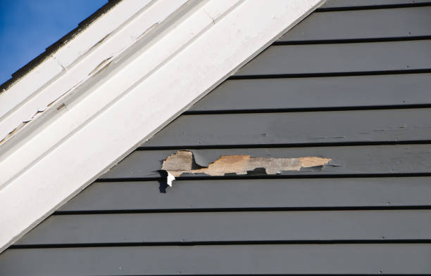 Best Garage Cleanout  in Bidwell, OH